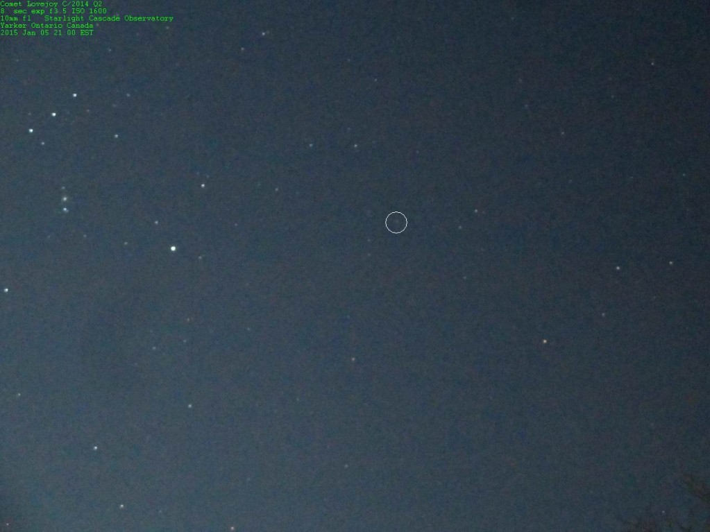 Comet C/2014 Q2 Lovejoy