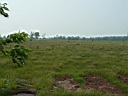 20050625-118.jpg
